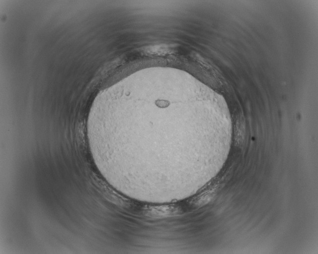 X0000067870473200605111804