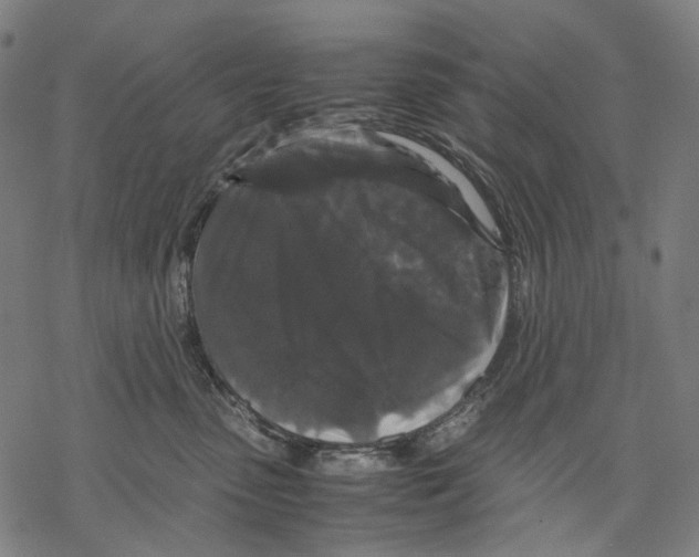 X0000067870475200605111804