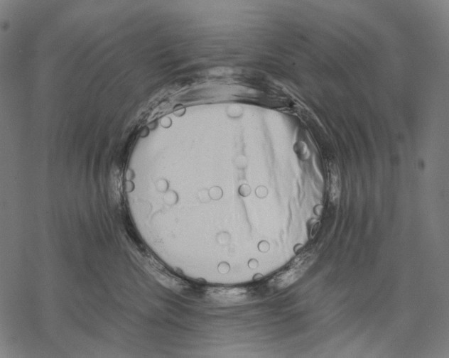 X0000067870476200605111804