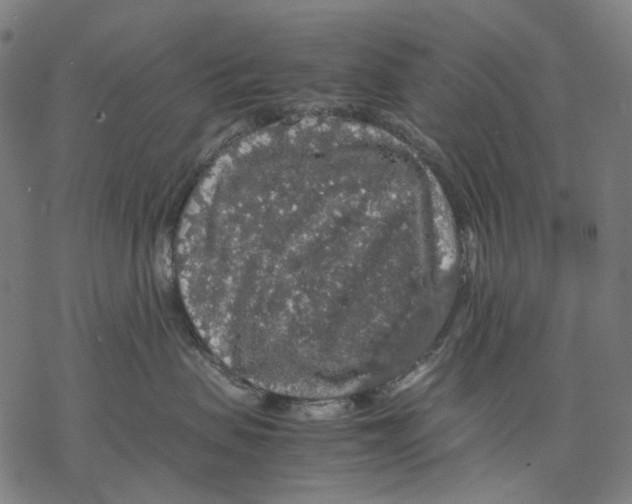 X0000067870479200605111804