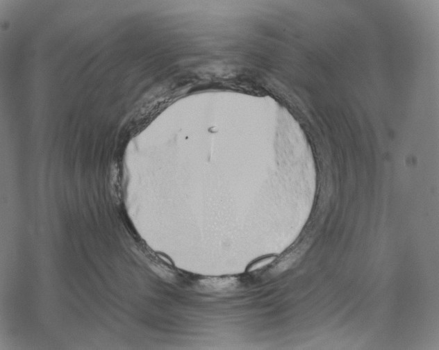 X0000067870480200605111804