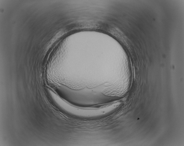 X0000067870483200605111803