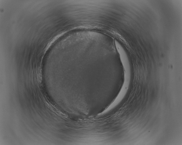 X0000067870484200605111803