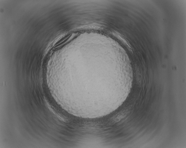 X0000067870486200605111803