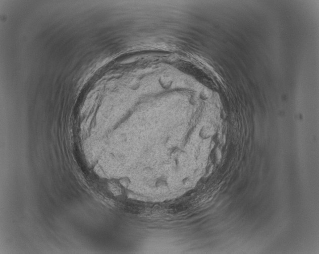 X0000067870487200605111803