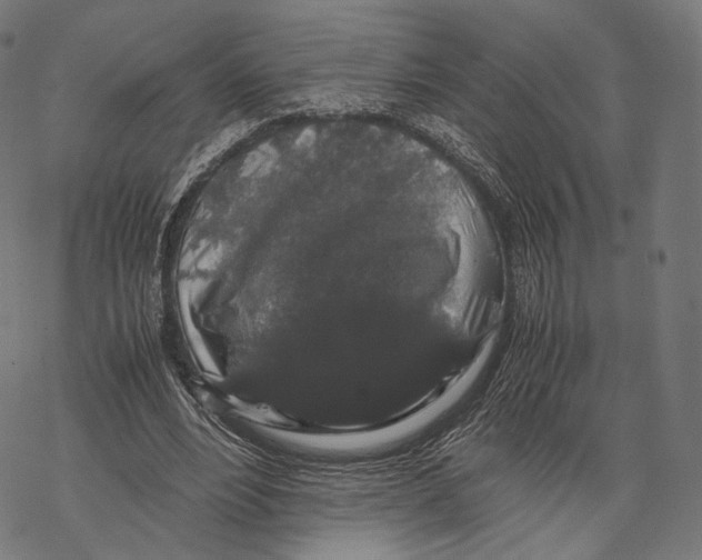 X0000067870488200605111803