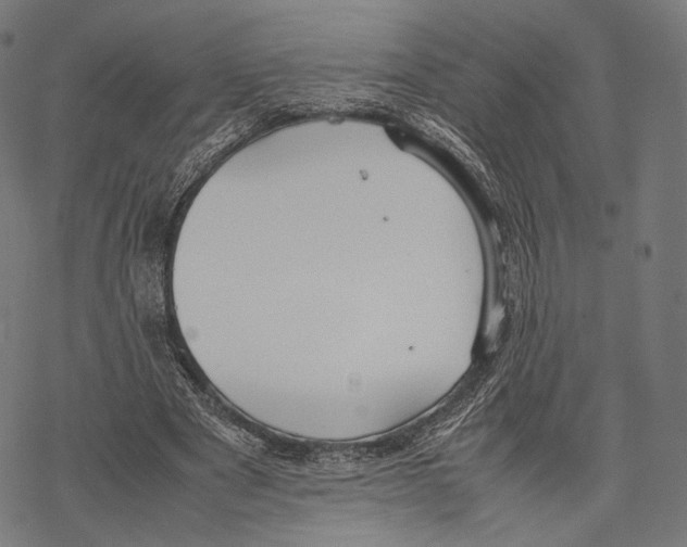 X0000067870489200605111803