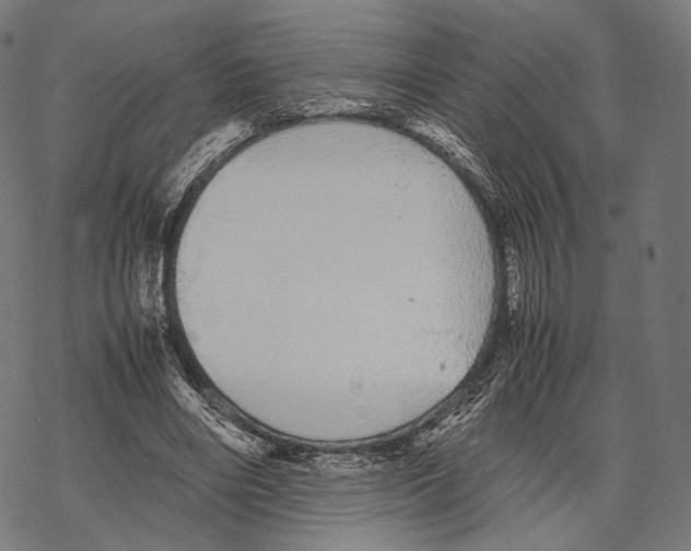 X0000067870490200605111803