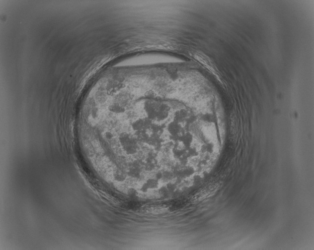 X0000067870491200605111803