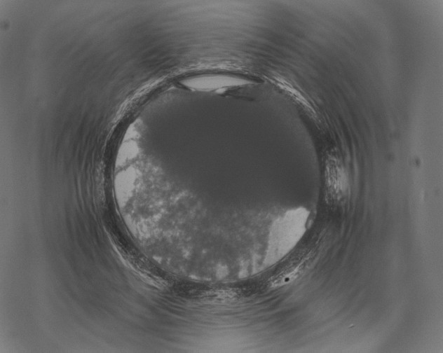 X0000067870492200605111803