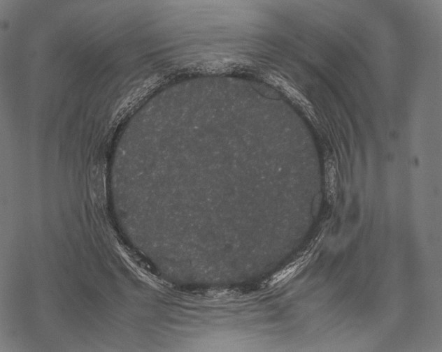 X0000067870493200605111803