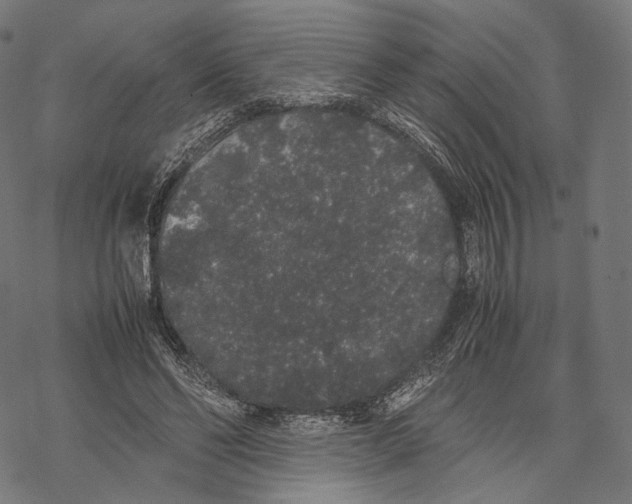 X0000067870494200605111803