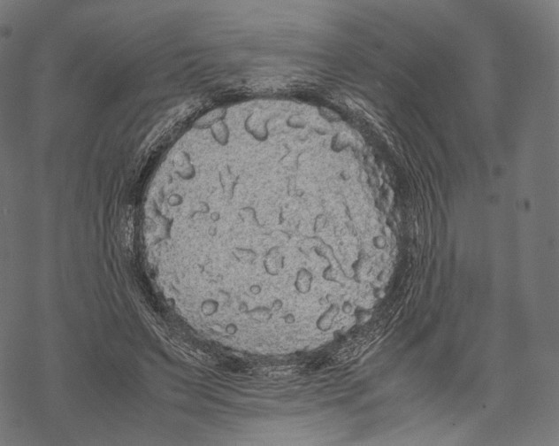 X0000067870495200605111803