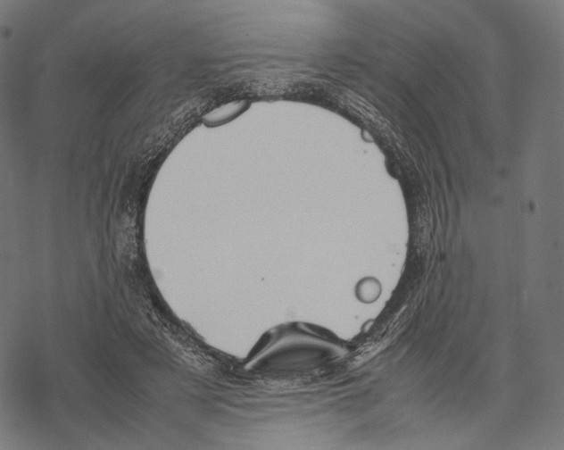 X0000067870497200605111803