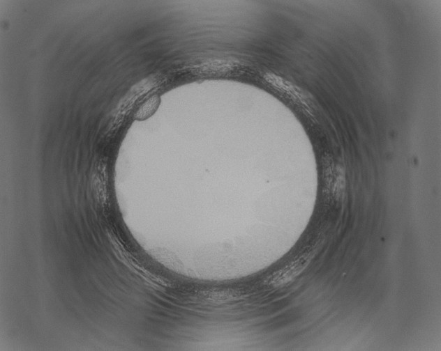 X0000067870498200605111803