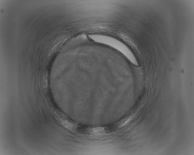 X0000067870501200605111803