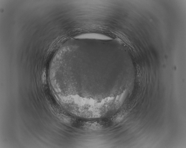 X0000067870502200605111803