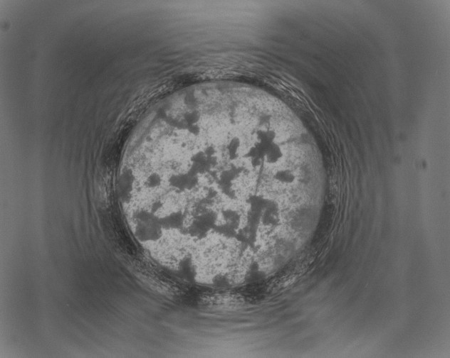 X0000067870503200605111803