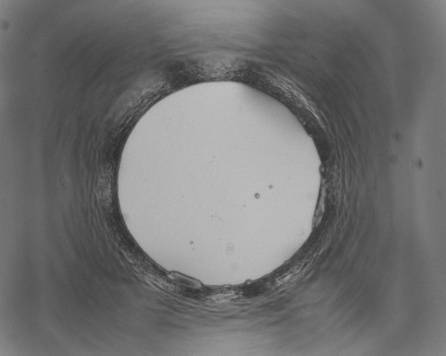 X0000067870505200605111803