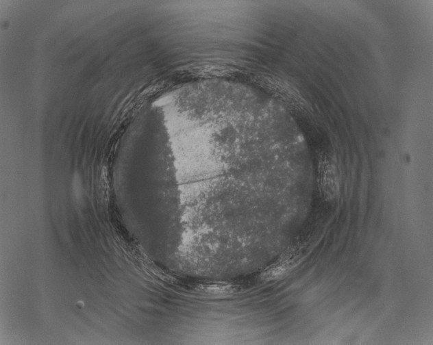 X0000067870506200605111803