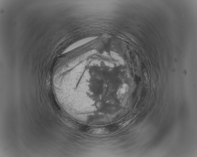 X0000067870507200605111803