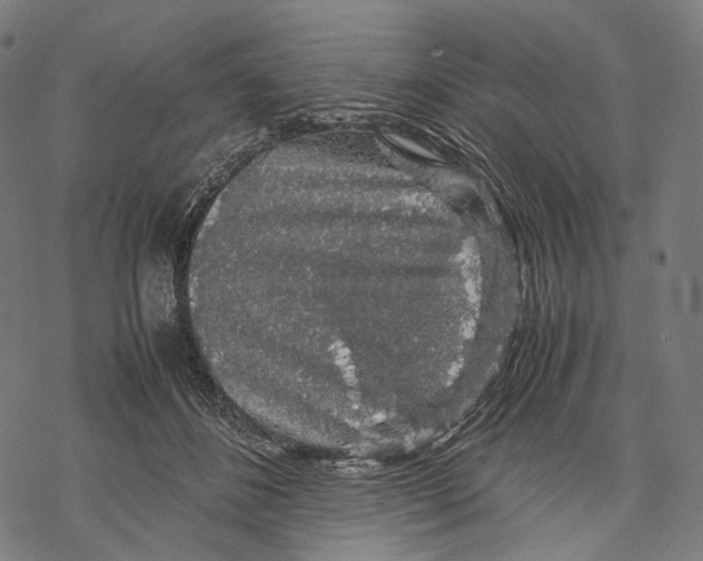 X0000067870508200605111803