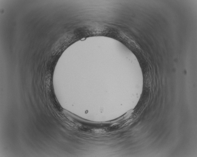 X0000067870509200605111803