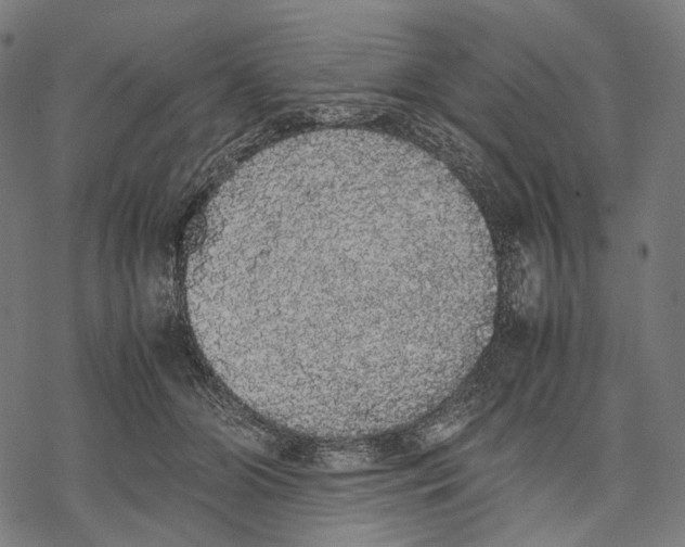 X0000067870510200605111803