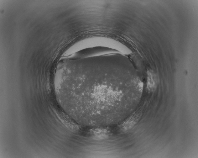 X0000067870512200605111803