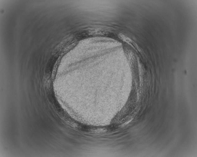 X0000067870513200605111803