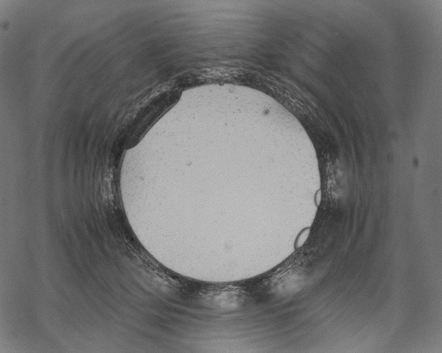 X0000067870514200605111803