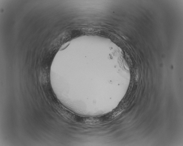 X0000067870515200605111803