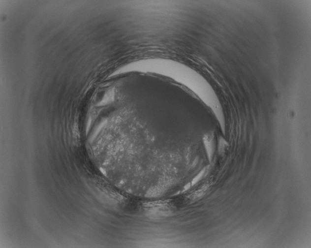 X0000067870516200605111803