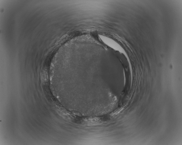 X0000067870517200605111803