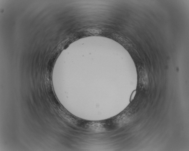 X0000067870518200605111803