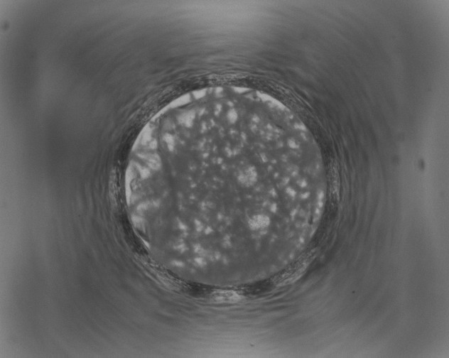 X0000067870519200605111803