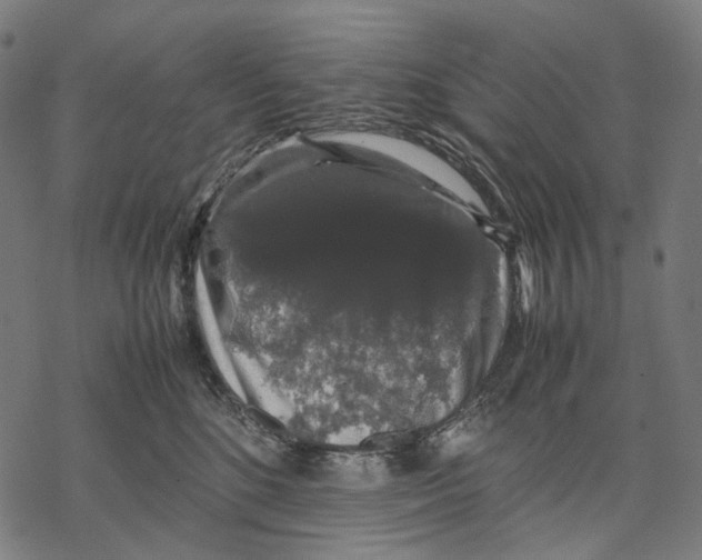 X0000067870520200605111803