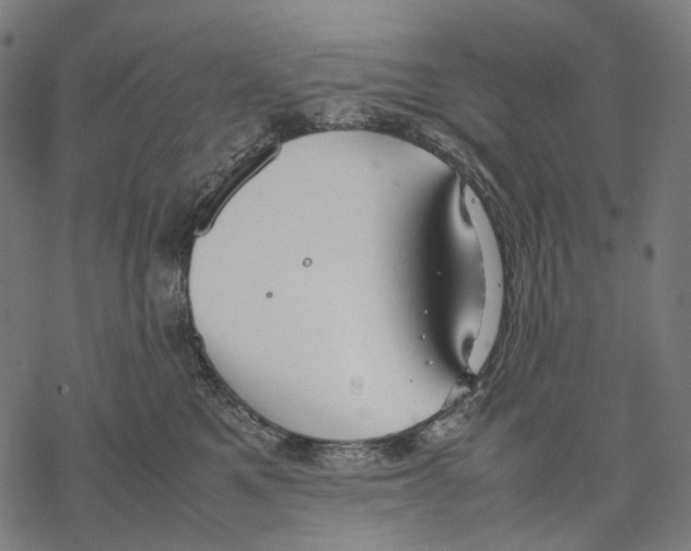 X0000067870521200605111803