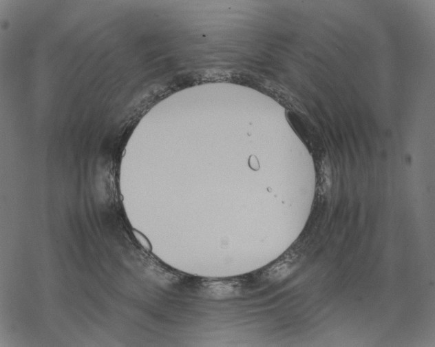 X0000067870522200605111803