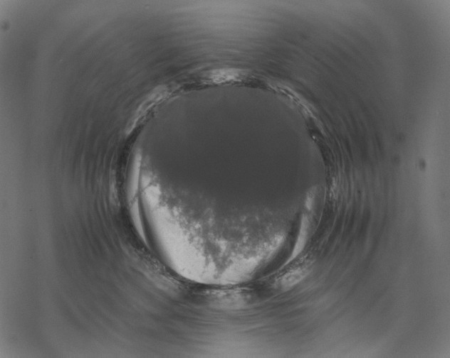 X0000067870524200605111803