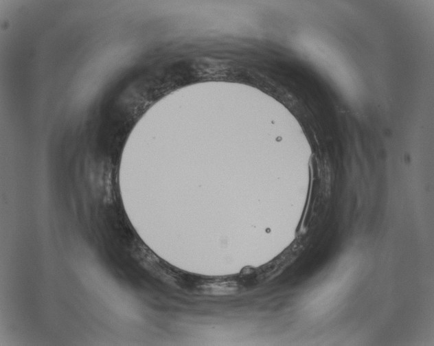 X0000067870525200605111803