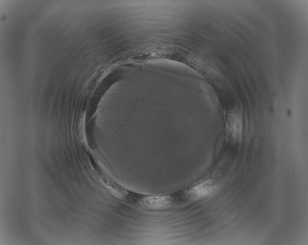 X0000067870526200605111803