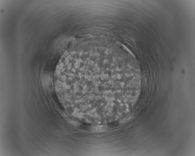 X0000067870527200605111803