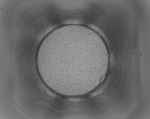 X0000067870529200605111802