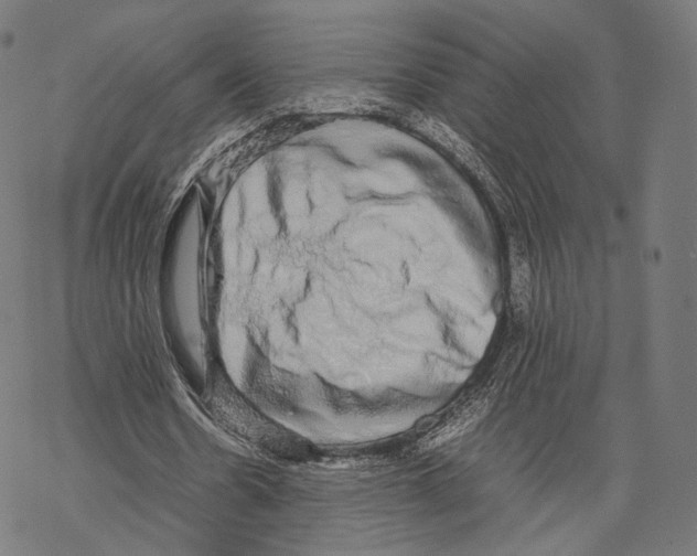 X0000067870530200605111802