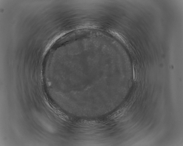 X0000067870531200605111802