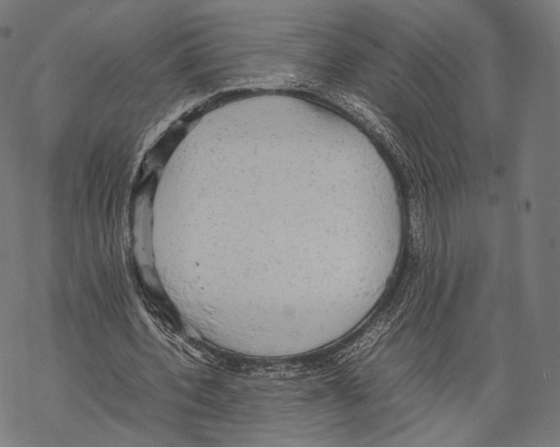 X0000067870532200605111802