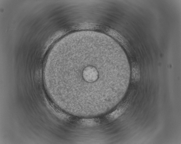 X0000067870534200605111802