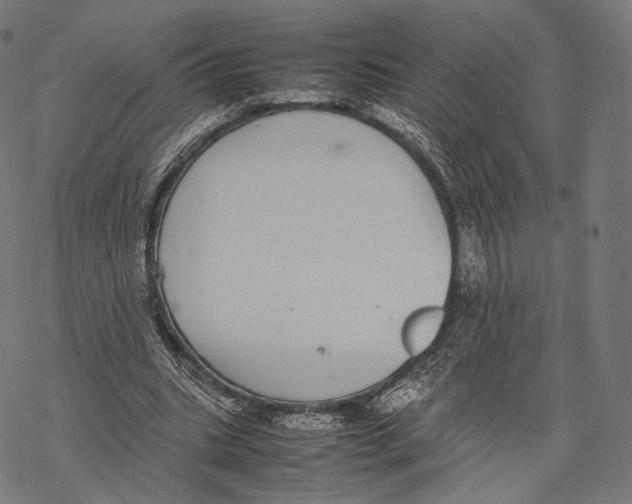 X0000067870535200605111802