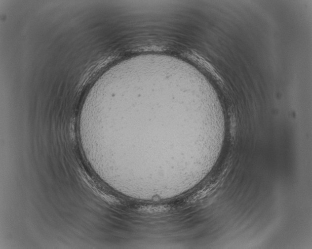 X0000067870537200605111802